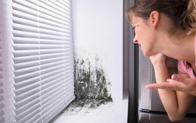 Best Ways to Prevent Mold in the Home